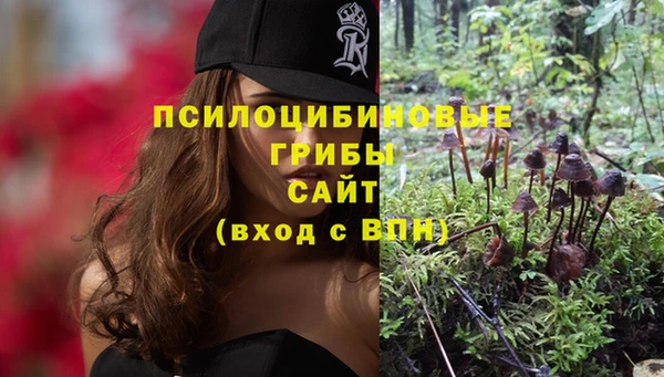 молекула духа Уссурийск