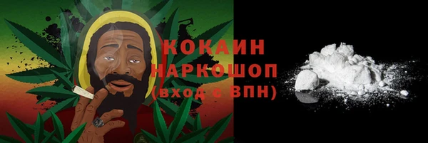 ГАЛЛЮЦИНОГЕННЫЕ ГРИБЫ Магас