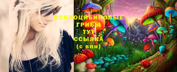 гашик Березники