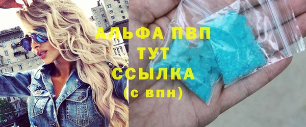 шишки Заволжск