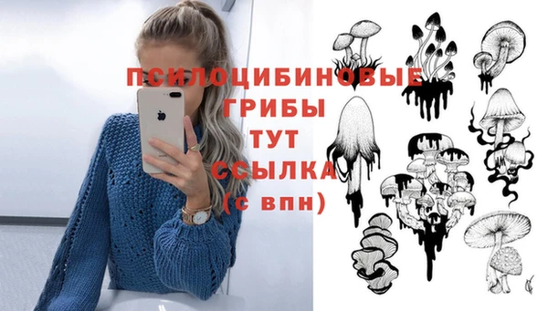 гидра Волгодонск