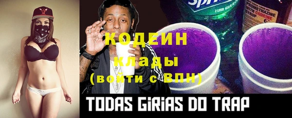 мдпв Домодедово