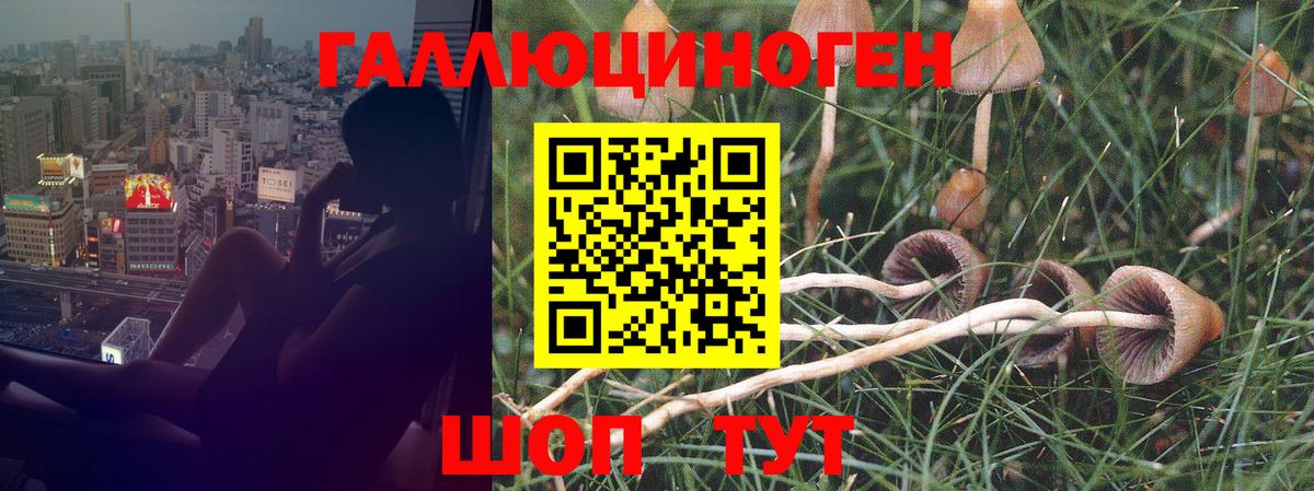 Псилоцибиновые грибы Magic Shrooms Ефремов