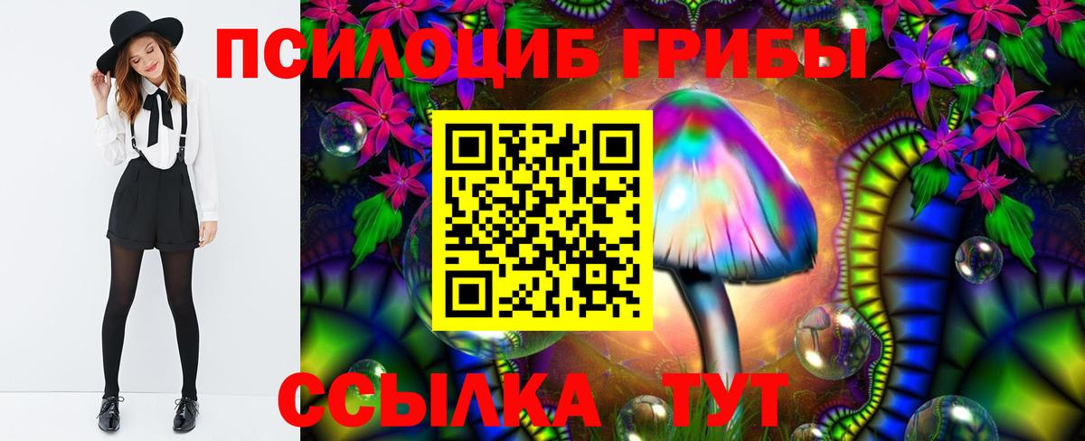 Галлюциногенные грибы Psilocybine cubensis Ефремов