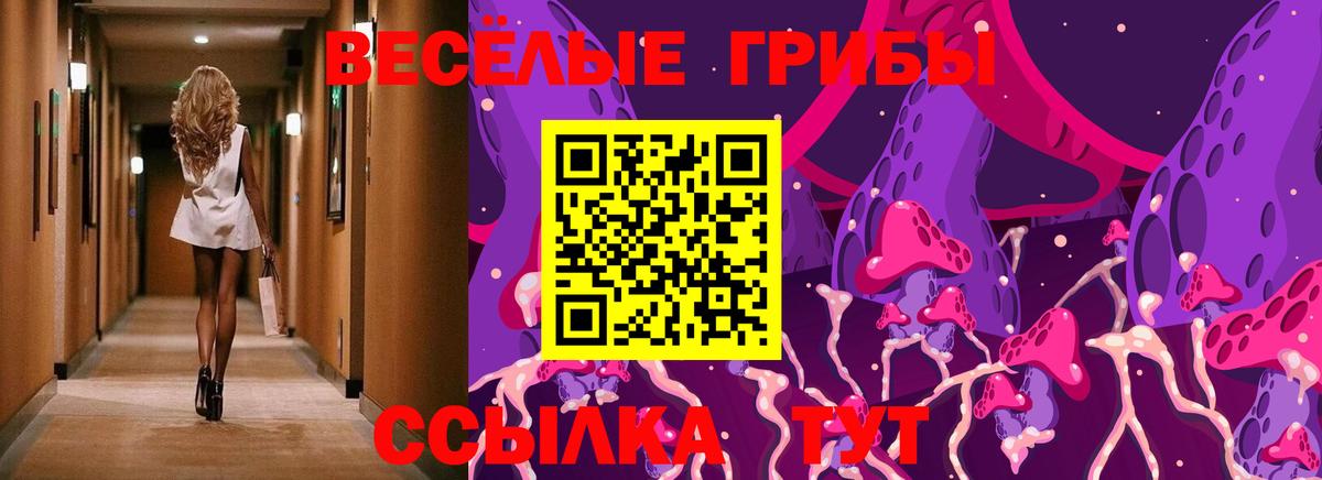 Галлюциногенные грибы мицелий  наркота  Ефремов  Вход с VPN 